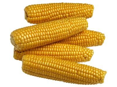 friss kukoricacsutka