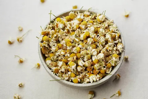   Tørrede kamille blomsterknopper til te