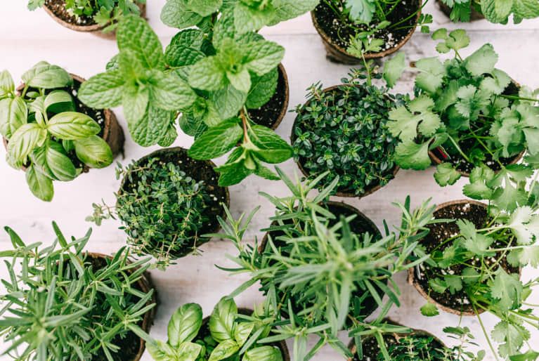 10 ruokaa Naturopaattinen lääkäri ostaa aina