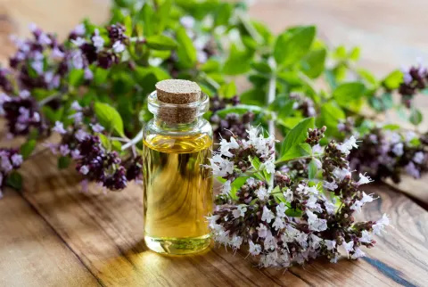   زجاجة من زيت الأوريجانو الأساسي