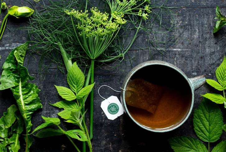   Nysgerrig om urtemedicin? Her's How You Can Harness The Power Of Plants