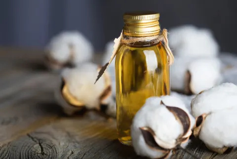 زيت بذور القطن في زجاجة زجاجية على سطح خشبي