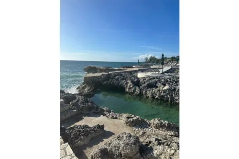   Godt rejst Negril