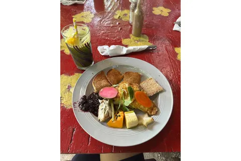   Godt rejst Negril