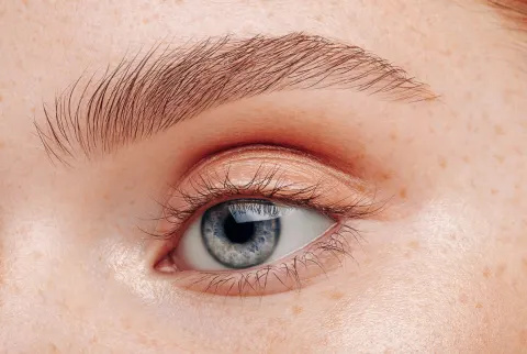 's Eye Lepotni posnetek ženske od blizu's Eye