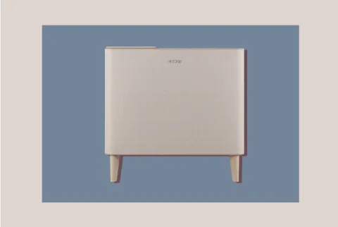   coway airmega ikoner