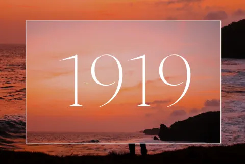   رقم الملاك 1919